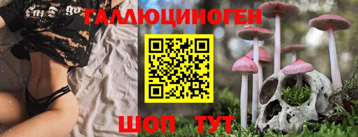 Галлюциногенные грибы GOLDEN TEACHER  Вход с VPN  Тельмана 